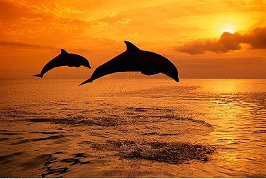 《黎明杀机》将下架《德州电锯杀人狂》反派角色